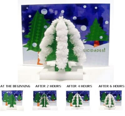 MAGIC-GROWING-CHRISTMAS-TREE-GREETINGS-CARD